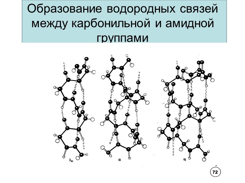 Образование водородных связей между карбонильной и амидной группами